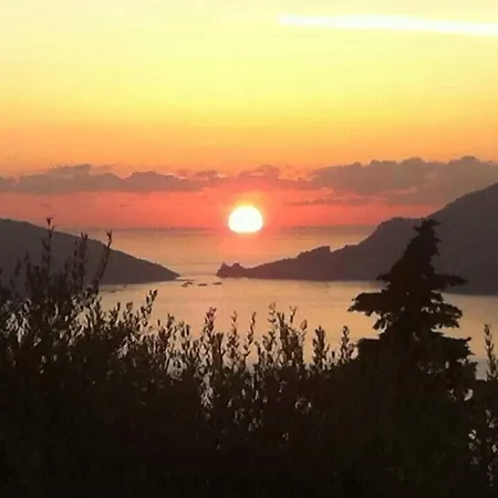 Hotel Hotel Del Golfo