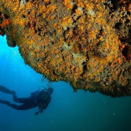 德尔哥佛酒店 酒店 3*