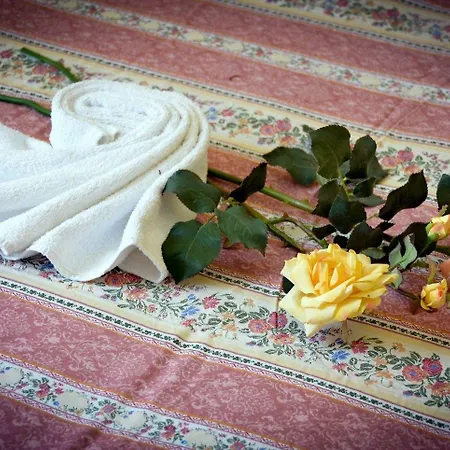 酒店 德尔哥佛酒店 莱里奇