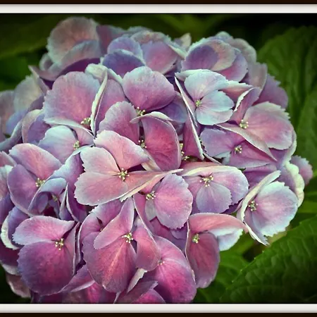 德尔哥佛酒店 3*