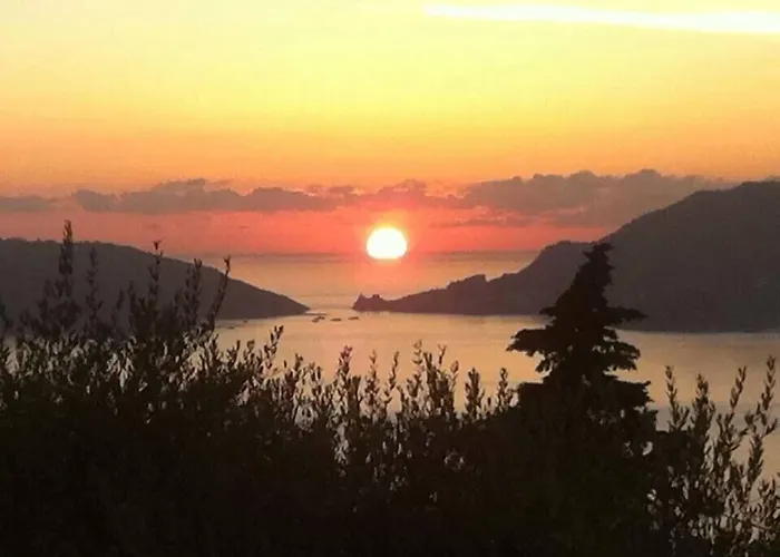 Hotel Hotel Del Golfo