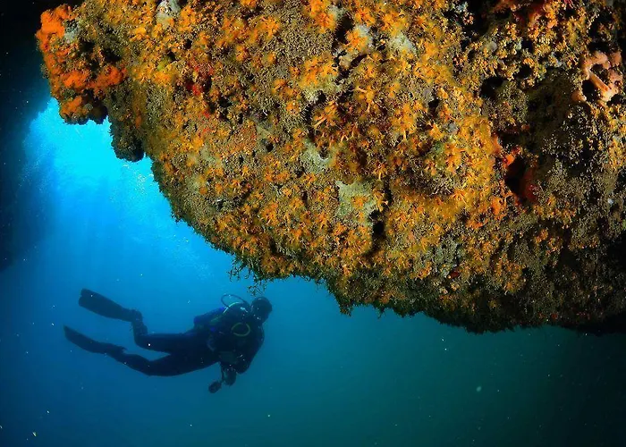 Hotel Del Golfo Hotel 3*