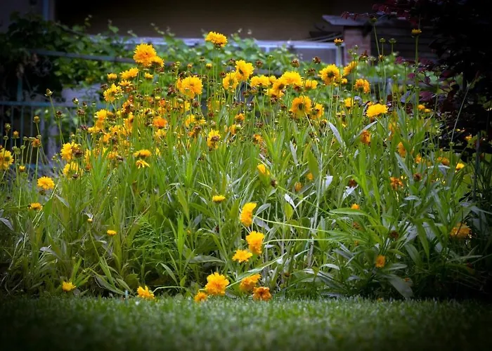 Hotel Hotel Del Golfo 3*