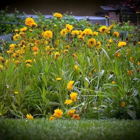 Szálloda Del Golfo 3*